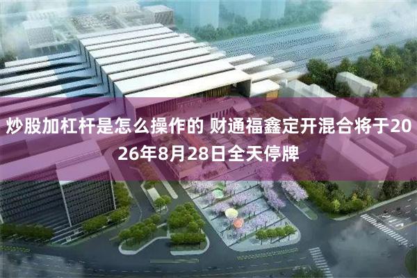 炒股加杠杆是怎么操作的 财通福鑫定开混合将于2026年8月28日全天停牌
