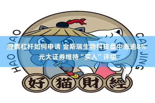 股票杠杆如何申请 金斯瑞生物科技盘中涨逾8% 光大证券维持“买入”评级