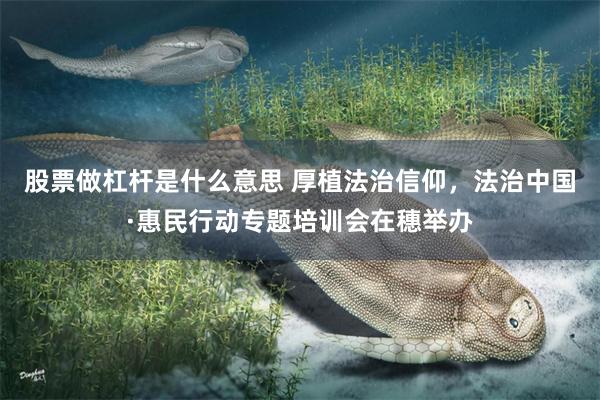 股票做杠杆是什么意思 厚植法治信仰，法治中国·惠民行动专题培训会在穗举办